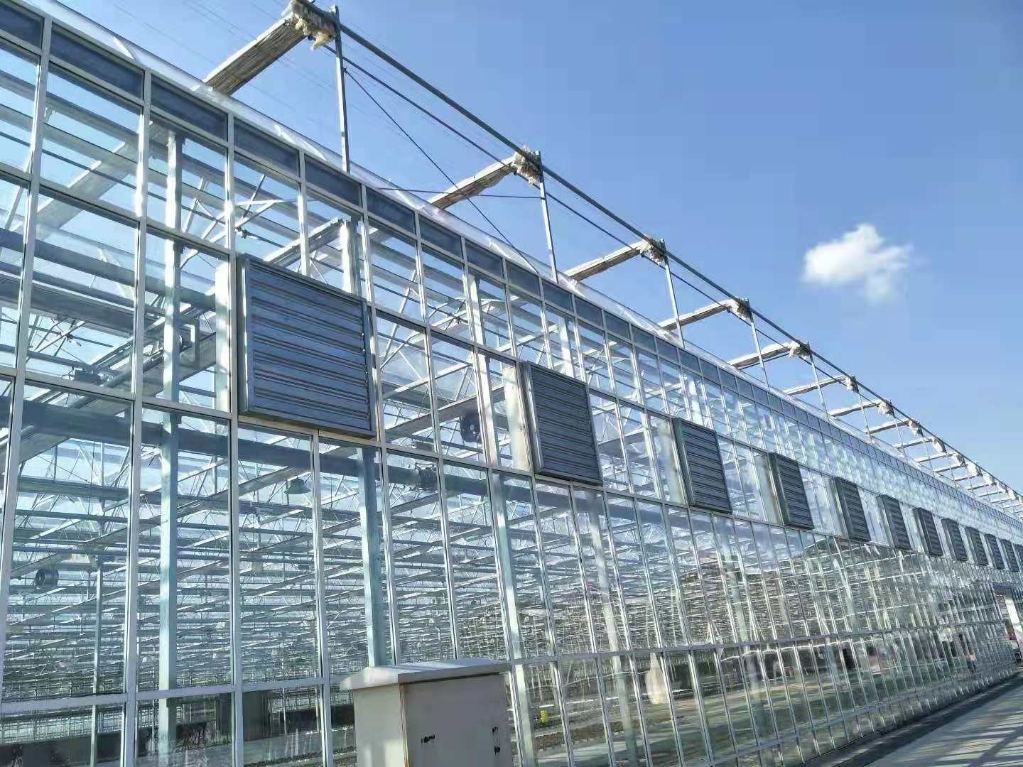 البيوت الزجاجية 